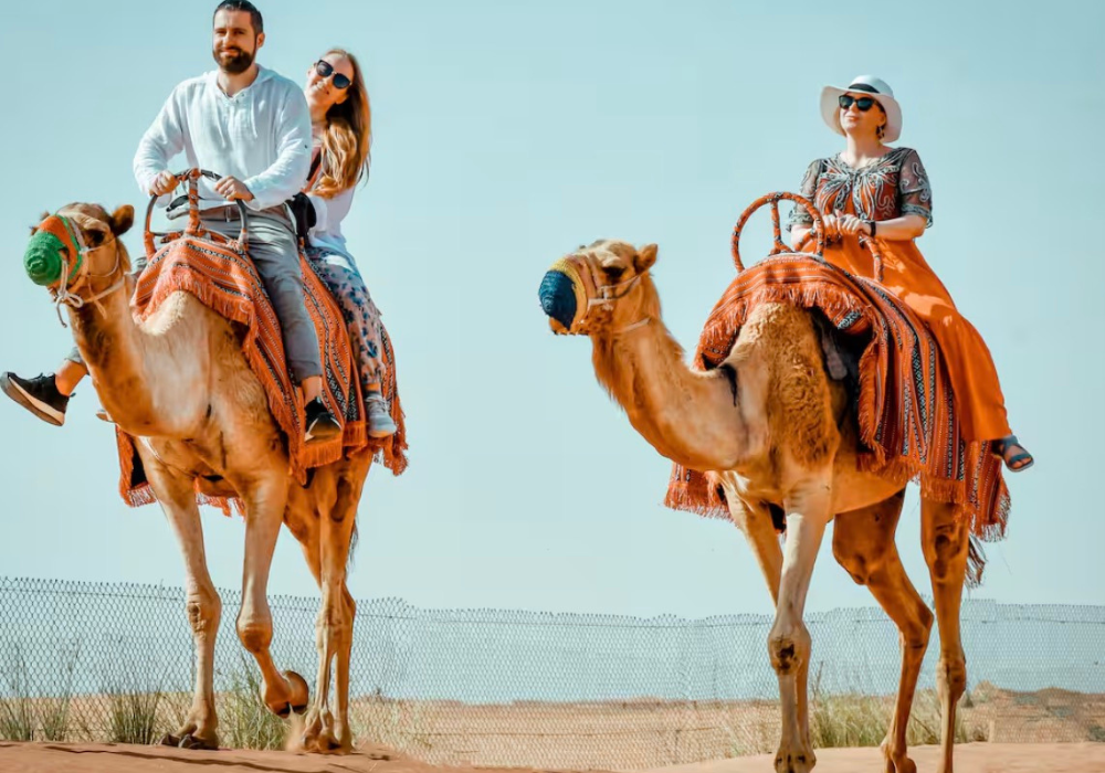 Desert Safari Home Pickup